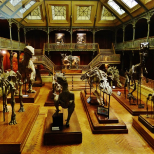4/ Le musée Miniature et Cinéma