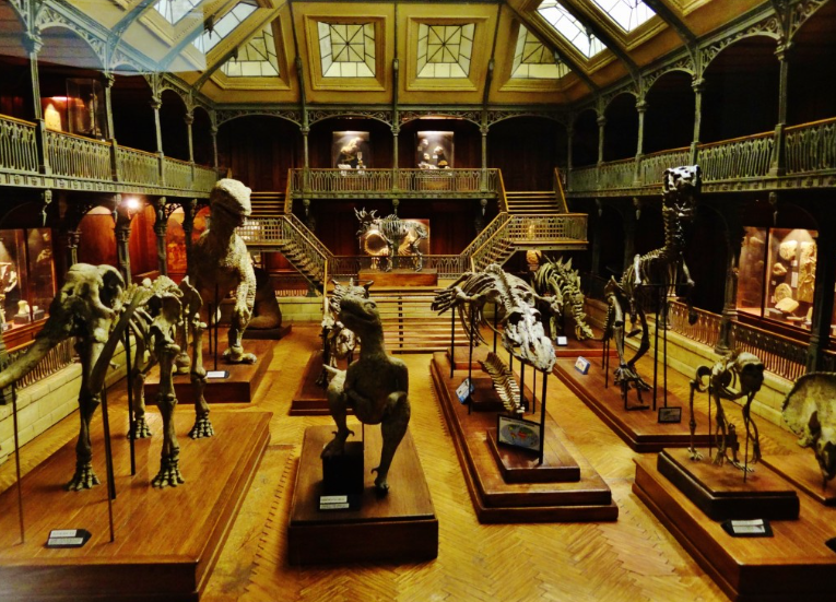4/ Le musée Miniature et Cinéma
