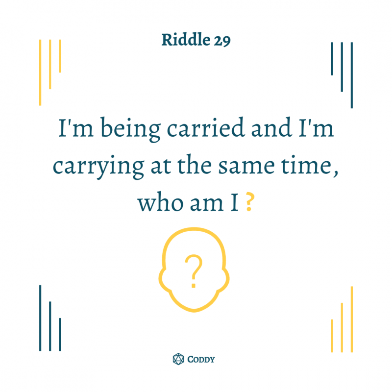 Riddle 29