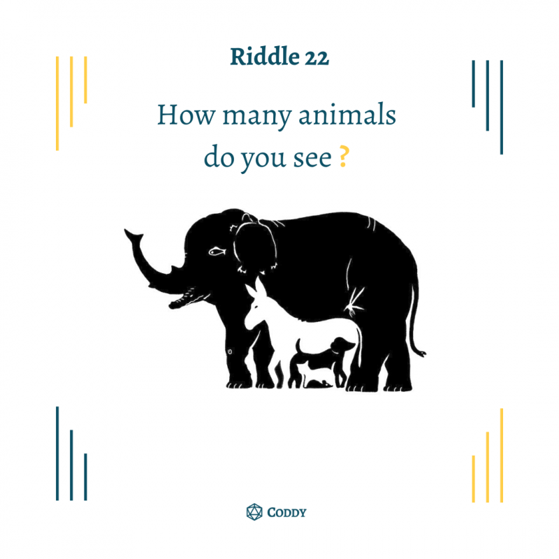 Riddle 22