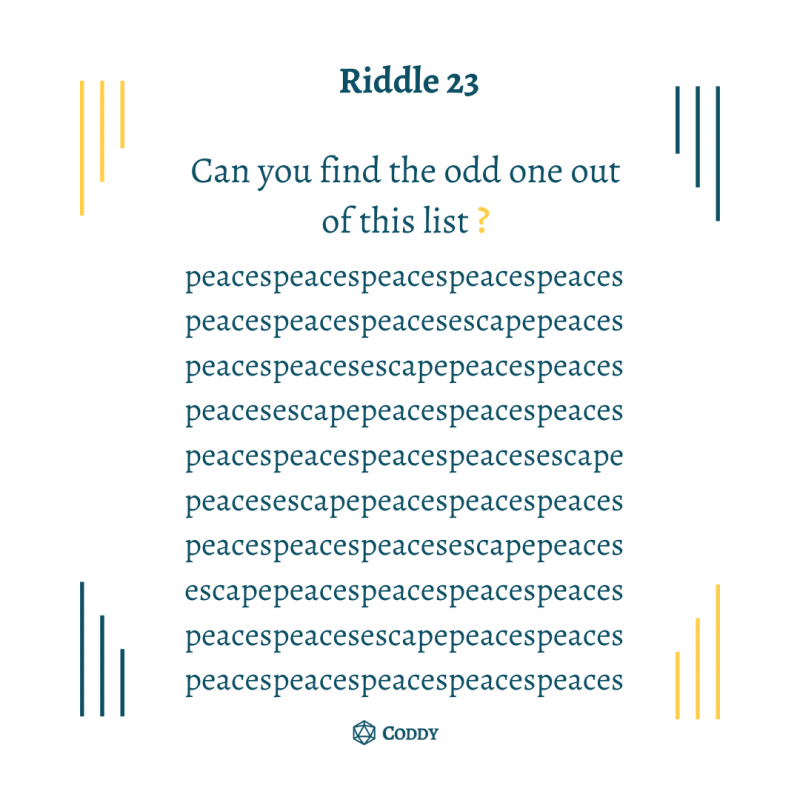 Riddle 23