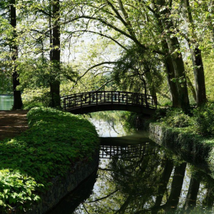 7/ Le parc de la tête d’Or