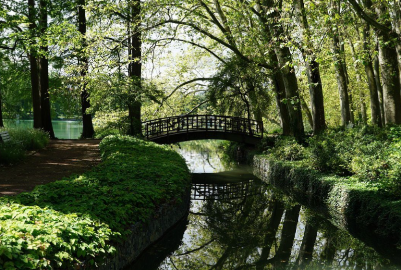 2/ Le parc de la tête d’Or