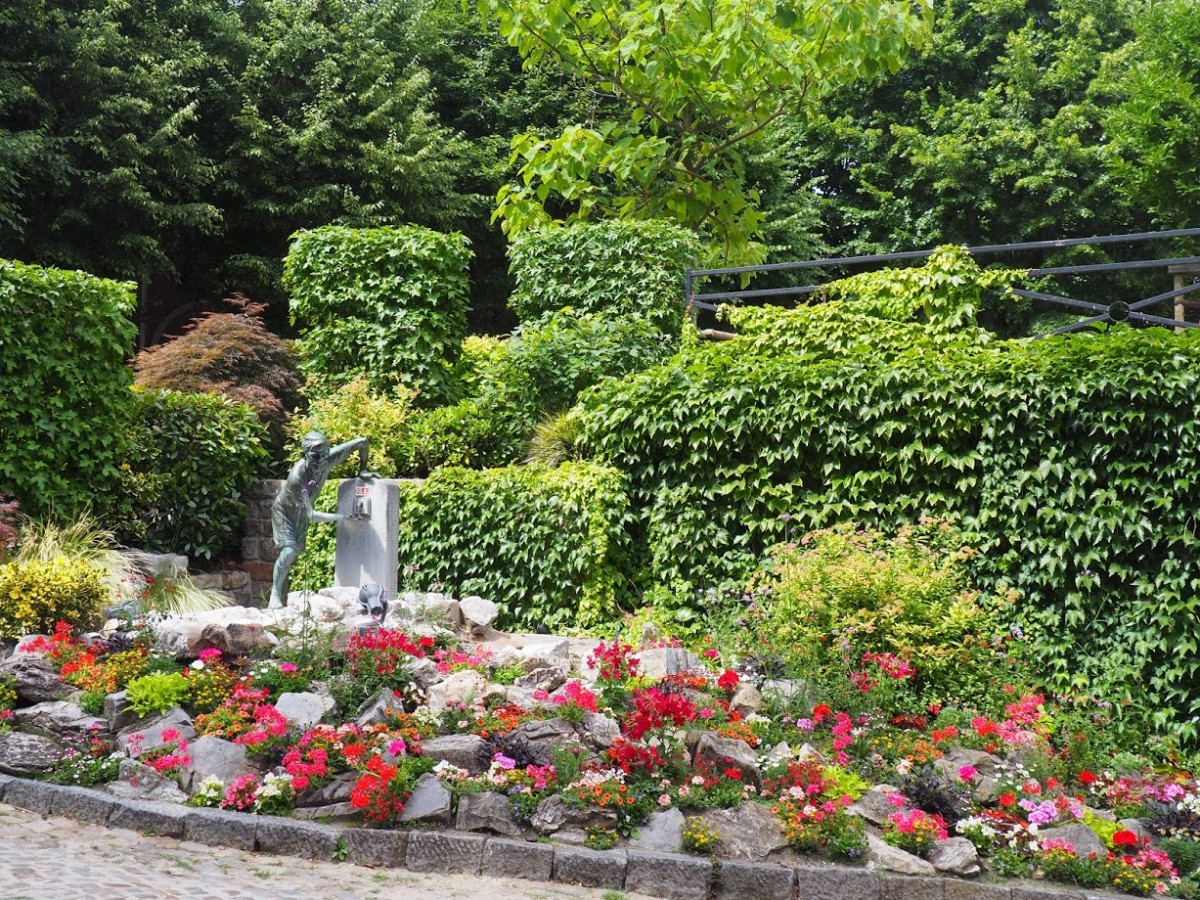 De tuin van de burgemeester (Jardin du Mayeur) - Bergen