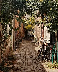 Rue de la Cigogne