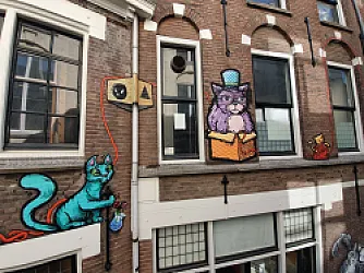 Kattensteeg